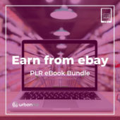 Earn From eBay PLR eBooks