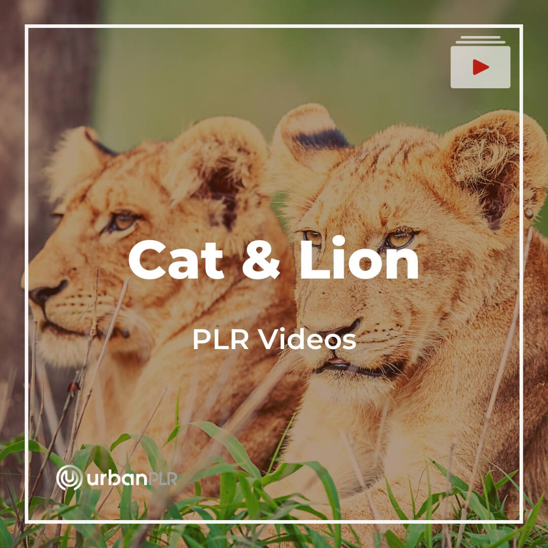 Cat & Lion PLR Video