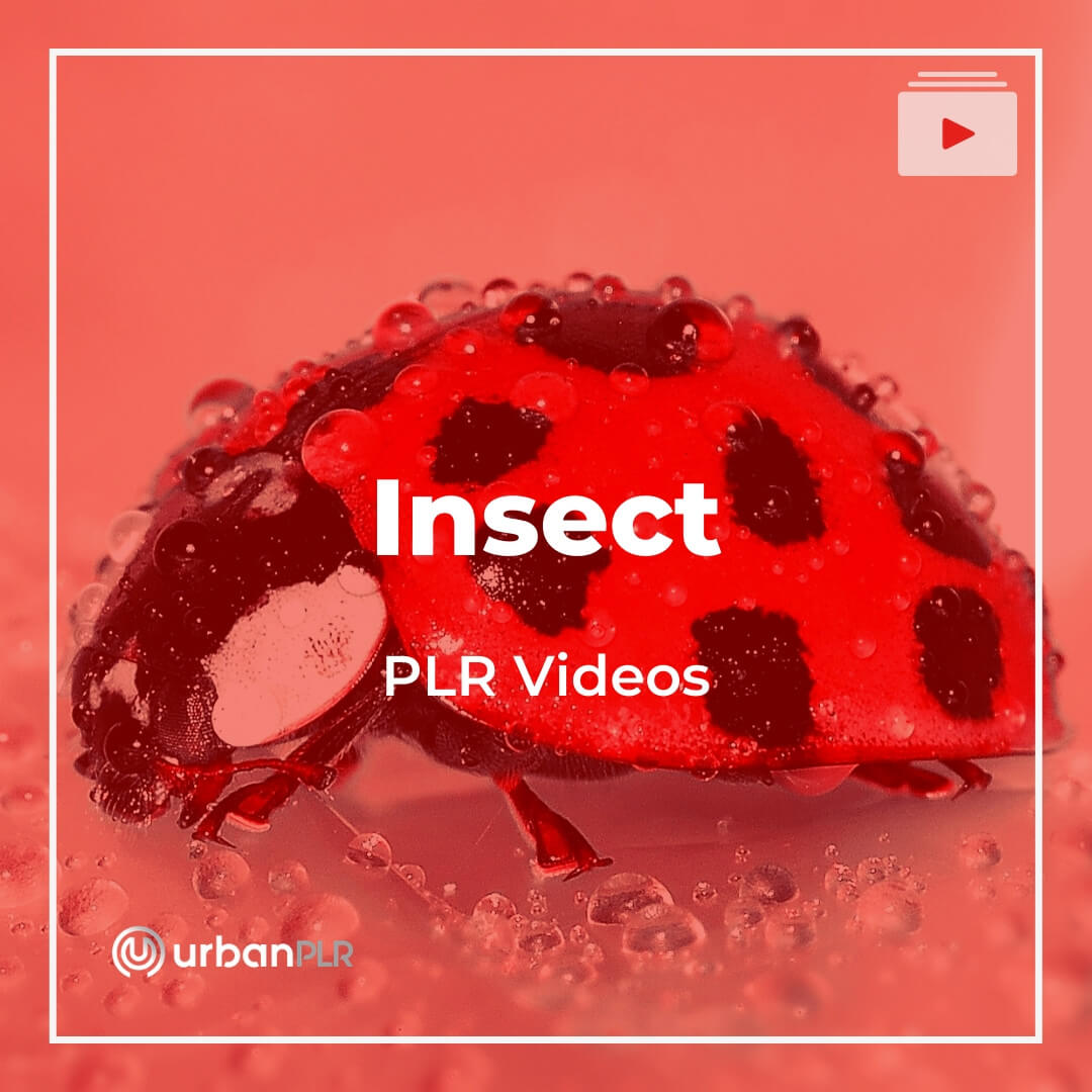 Insects PLR Videos