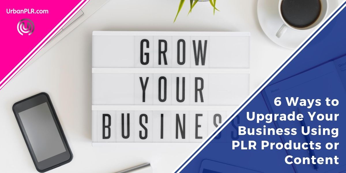 6 Ways to Upgrade Your Business Using PLR Products or Content