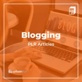 Blogging PLR Articles
