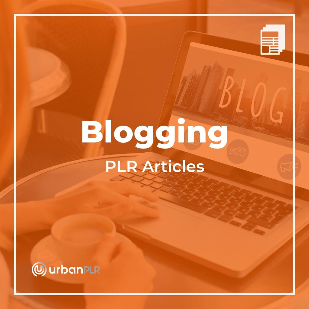 Blogging PLR Articles