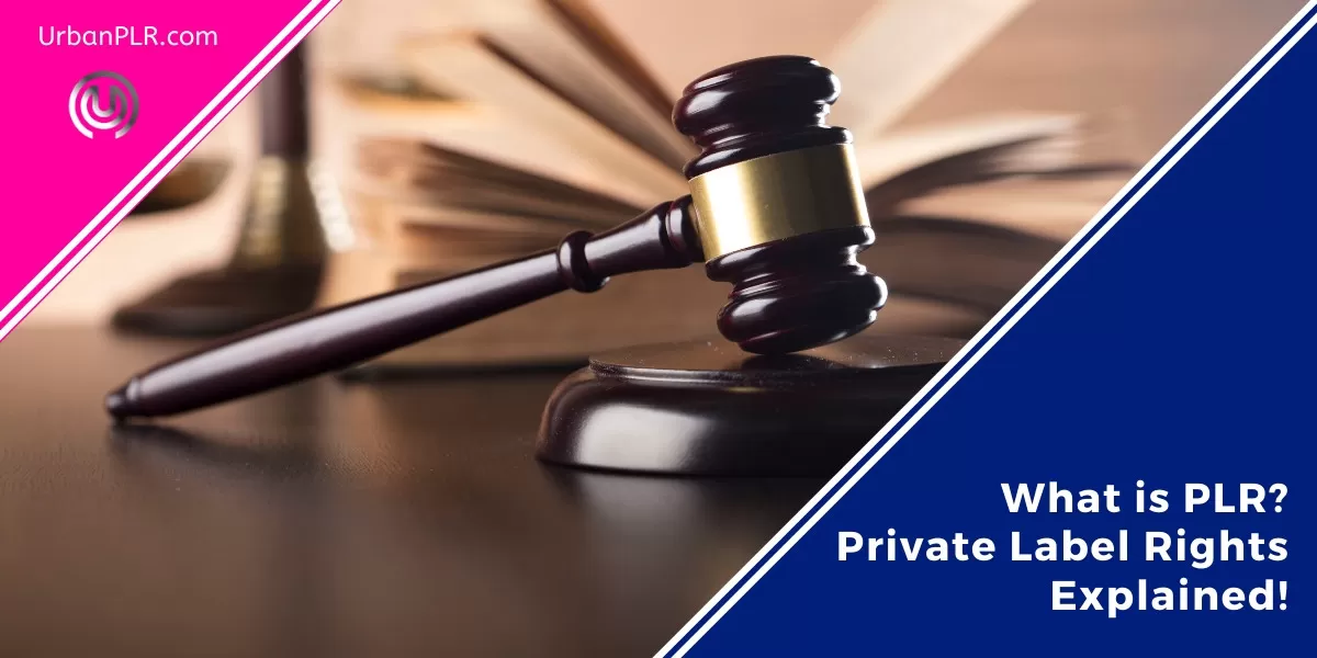 What is PLR? Private Label Rights Explained!