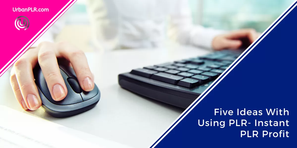 Five Ideas With Using PLR- Instant PLR Profit