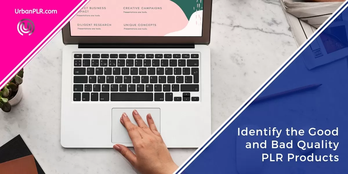 Identify the Good and Bad Quality PLR Products