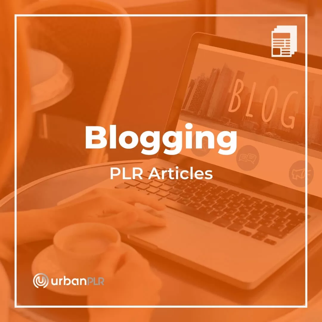 Blogging PLR Articles