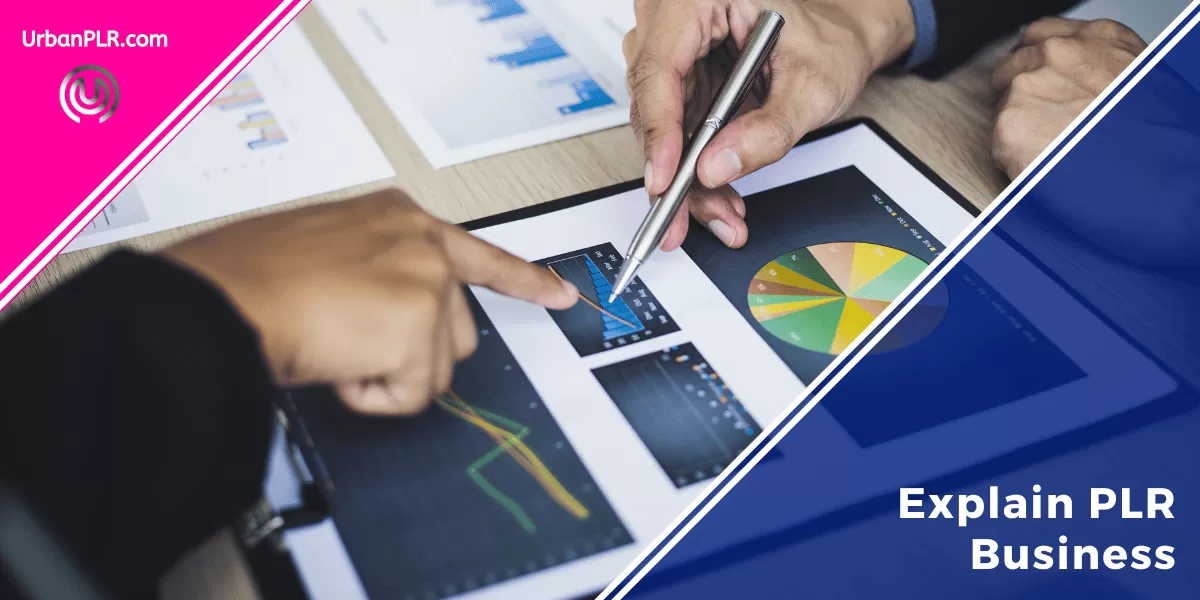 Explain PLR Business