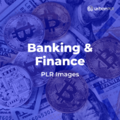 Banking & Finance PLR Images