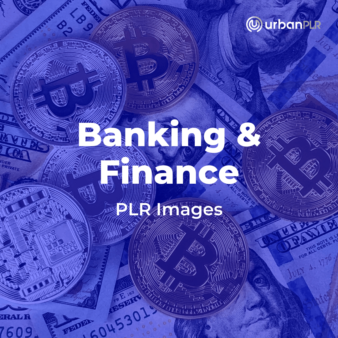 Banking & Finance PLR Images