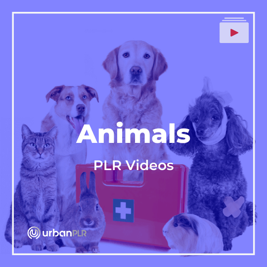 Animals PLR Videos