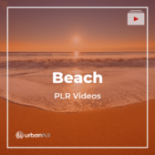 Beach PLR Videos