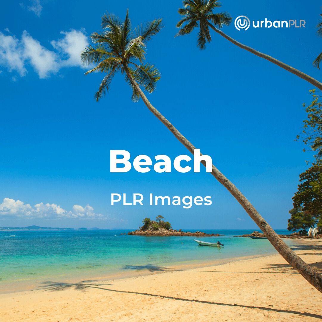 Beach PLR Images