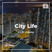 City Life PLR Videos