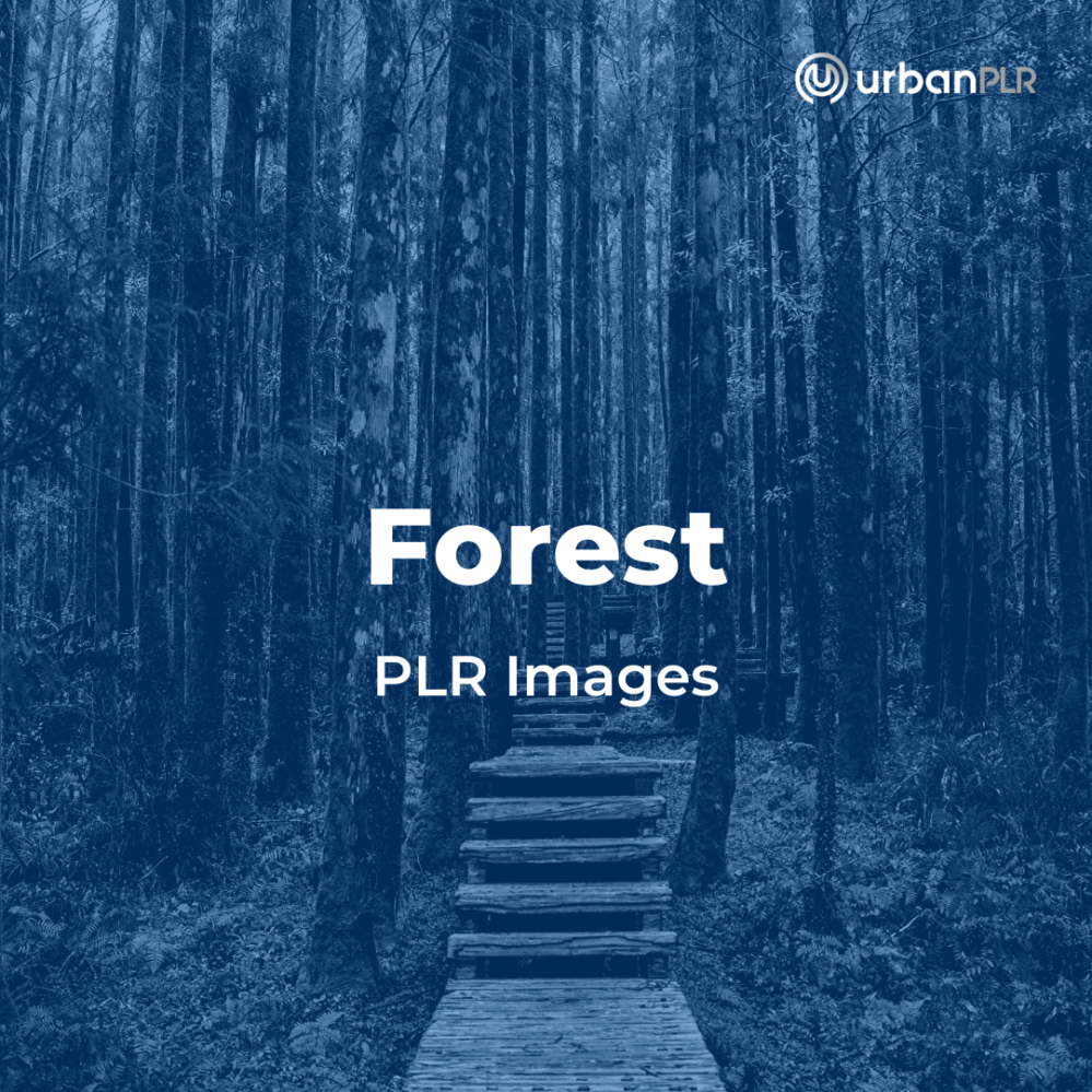 forest plr images