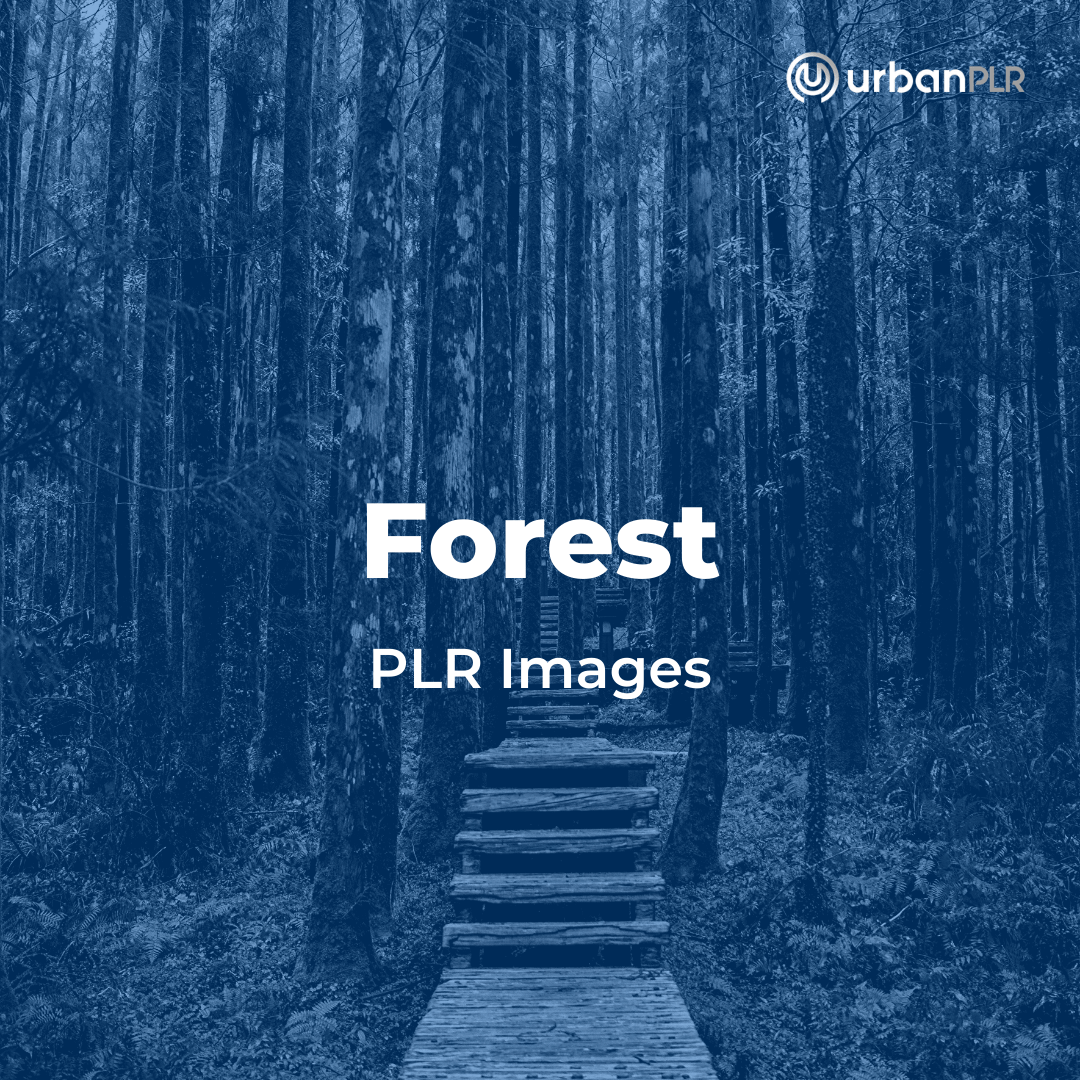 Forest PLR Images