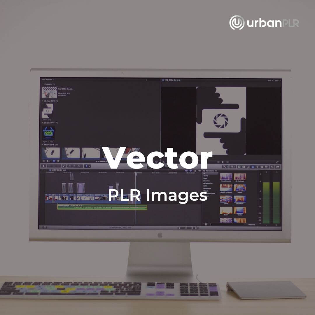 SVG Vector PLR Images