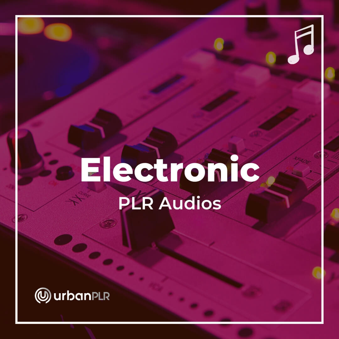 Electronic PLR Audios