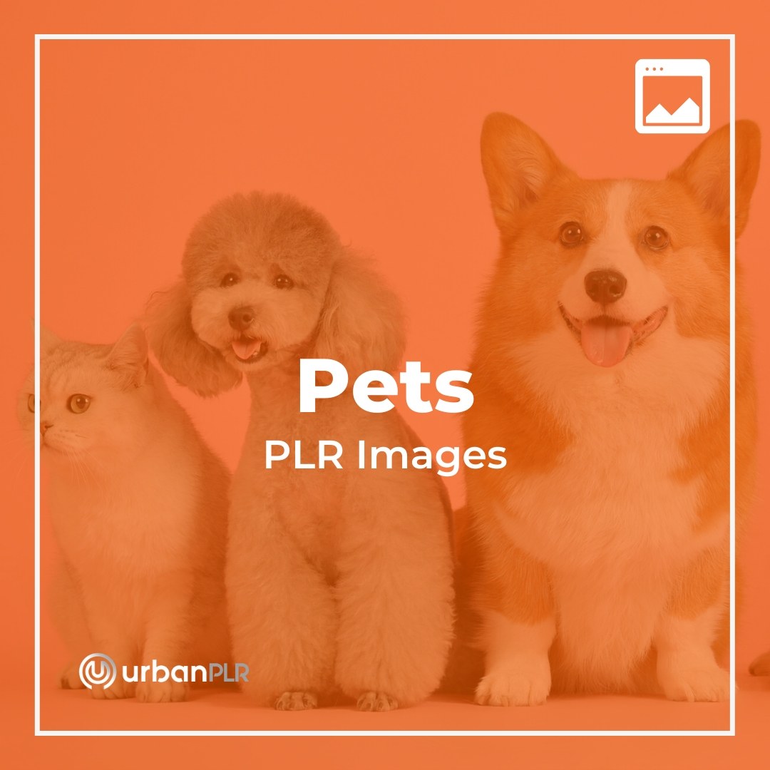 Pets PLR Images