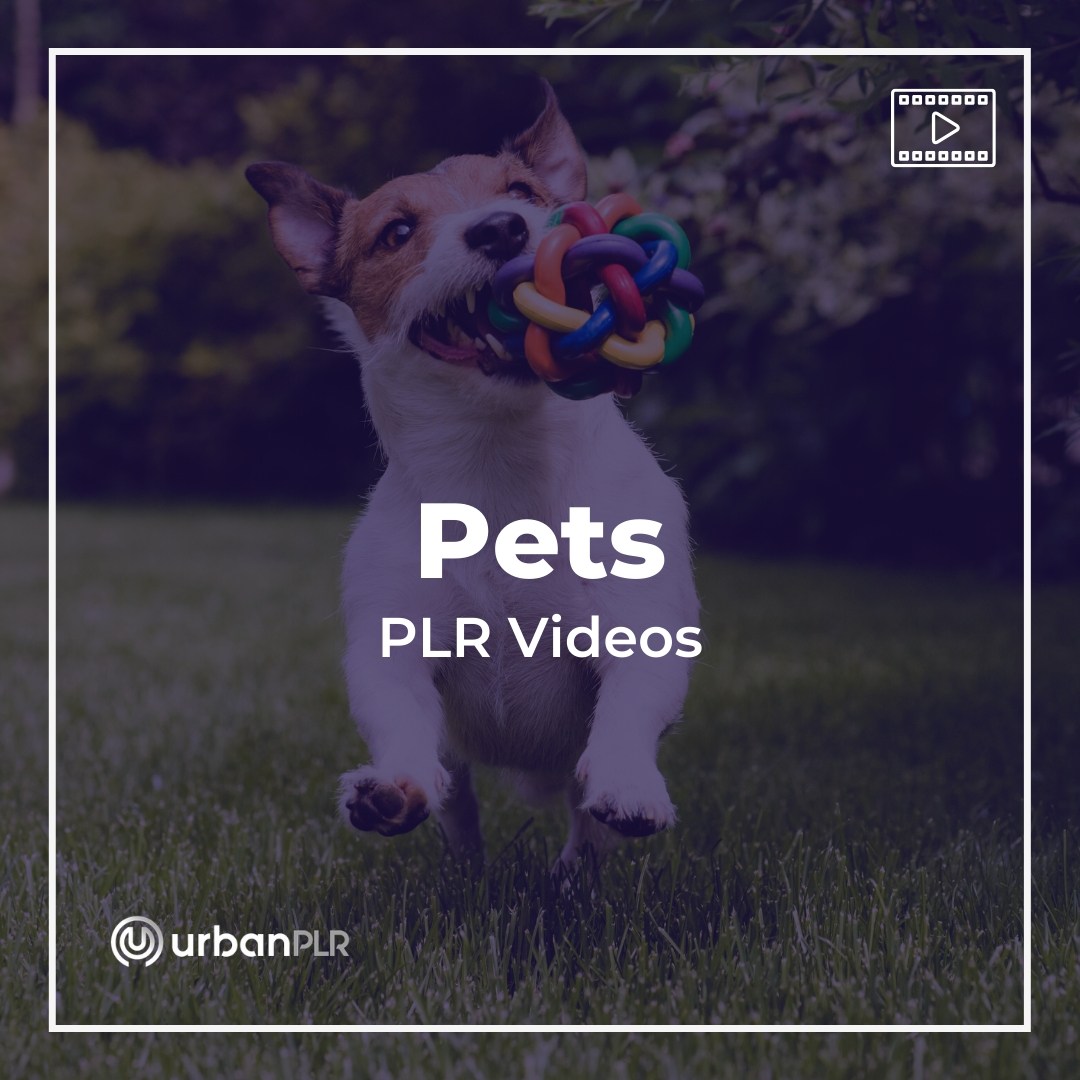 Pets PLR Videos