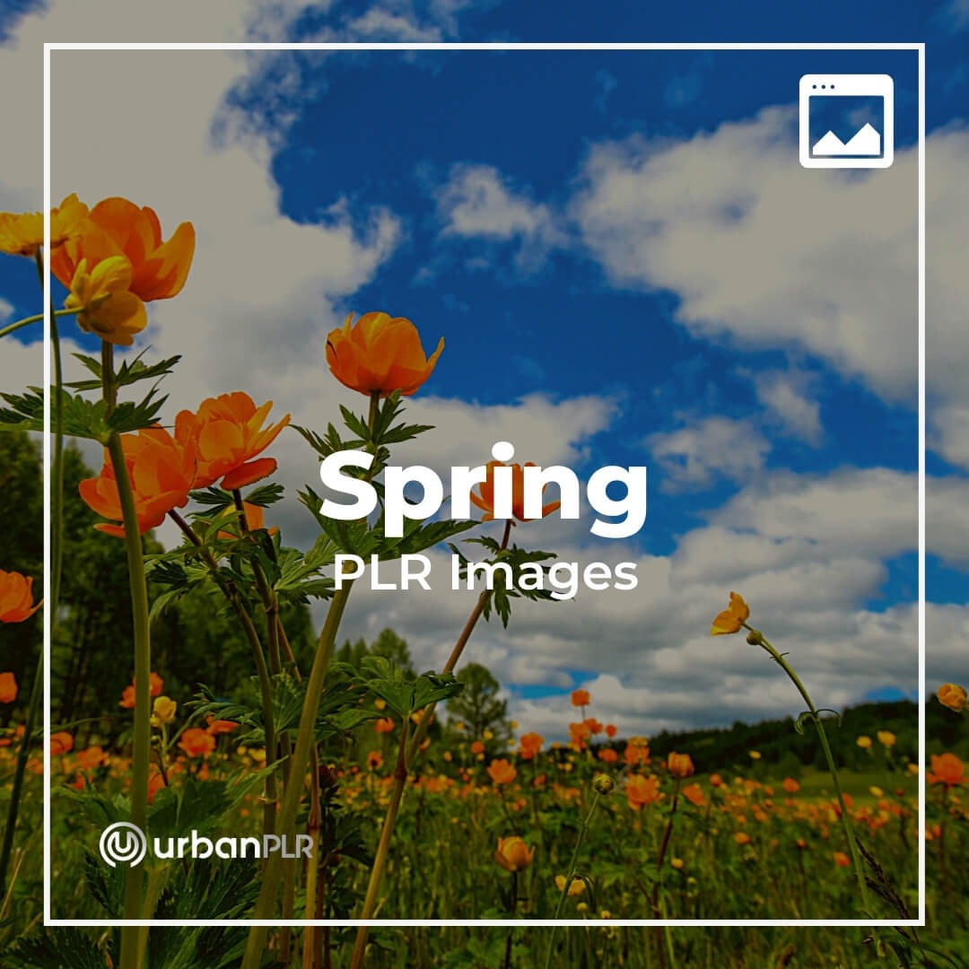 Spring PLR Images