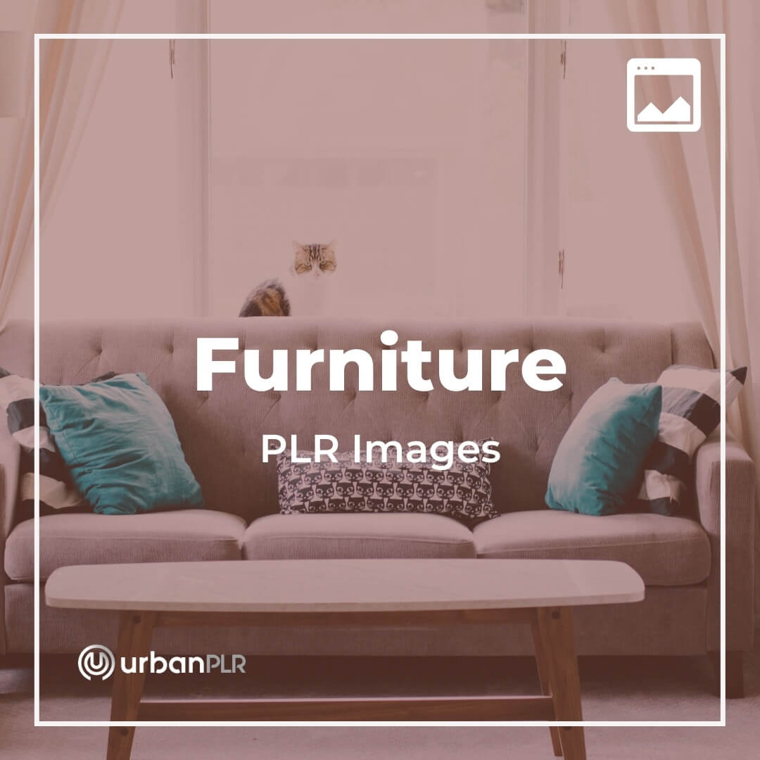 Furniture PLR Images