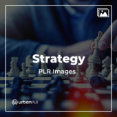 Strategy PLR Images